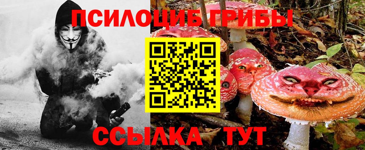 Псилоцибиновые грибы MAGIC MUSHROOMS  Вход с VPN  Астрахань 