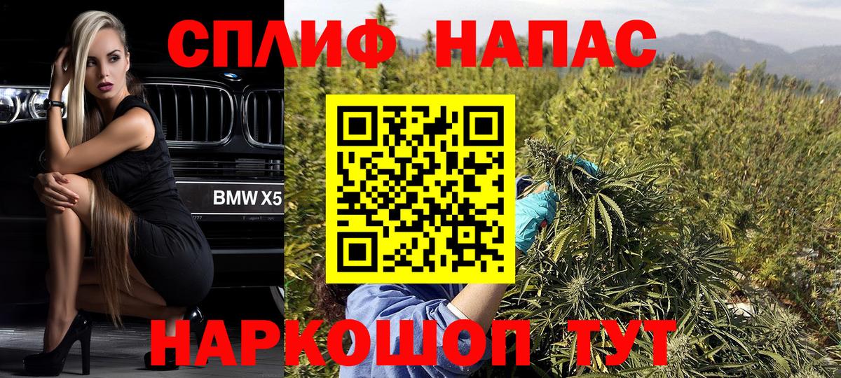 Марихуана планчик  Вход с VPN  Марихуана ГИДРОПОН  Астрахань  Каннабис индика  Марихуана VHQ 